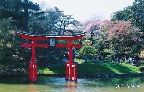 就在本周末纽约 京都岚山下 奈良若草间 布鲁克林日本樱花节带你梦回日本 知乎