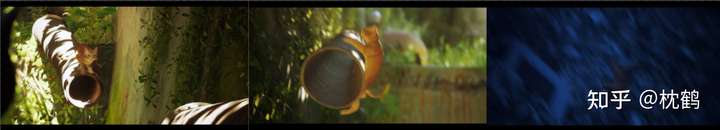 冲突来临，猫猫失足掉落