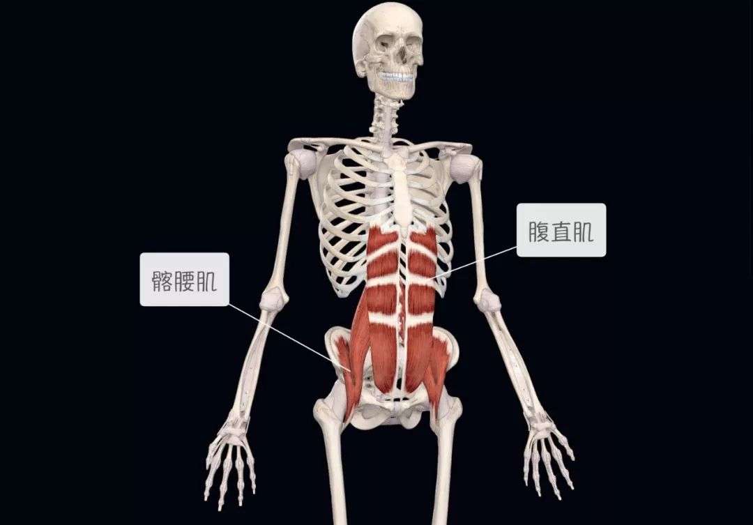 训练大讲堂 悬垂举腿 知乎