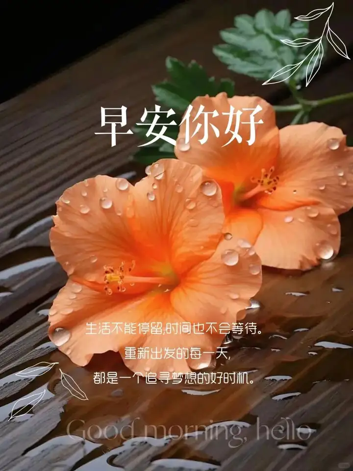 高级感早安,早安你好,早安加油的文案短句,朋友圈要这样子发2.0版