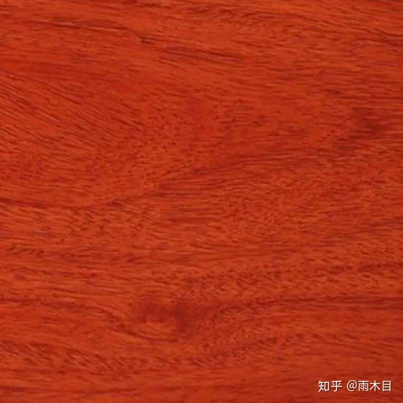 整木定制中的 木 都是什么木 知乎
