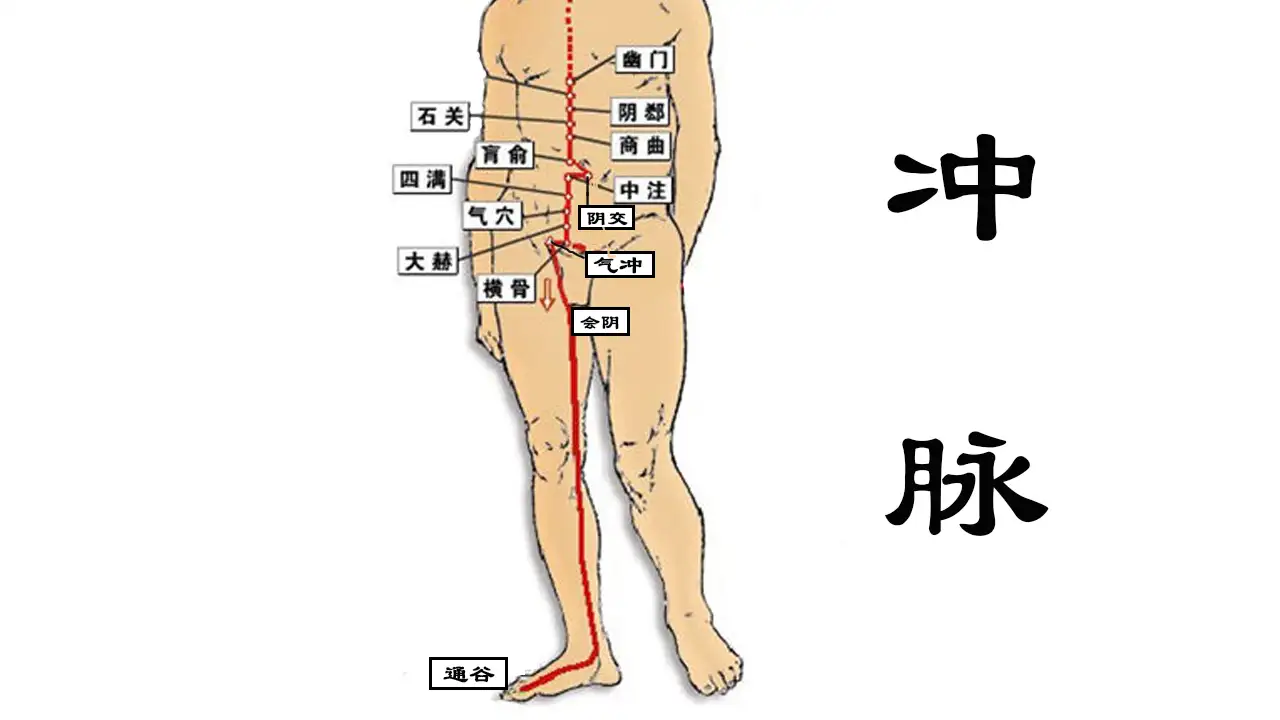 冲脉——十二经脉之海- 知乎