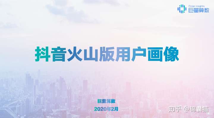 2020抖音用户画像分析