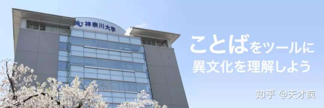 浅谈神奈川大学留学条件 知乎