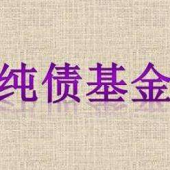 怎么看基金是不是纯债基金 v2-d48b60a4231183e19333b53e677aa04d_qhd.jpg