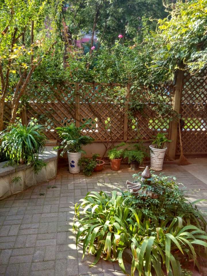 有谁分享一下自家美丽的自建花园?