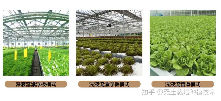 有这几个无土栽培模式 水培叶菜优质高产不用愁 知乎