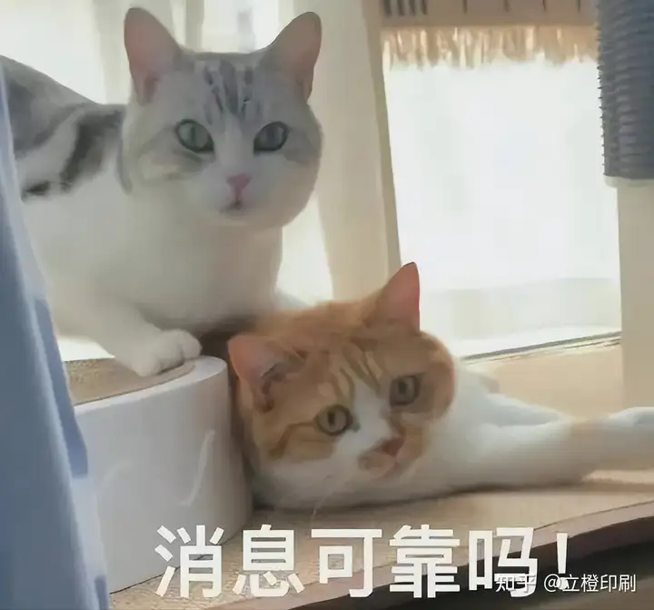 看完這篇印刷指南后，突然就悟到了！  第1張