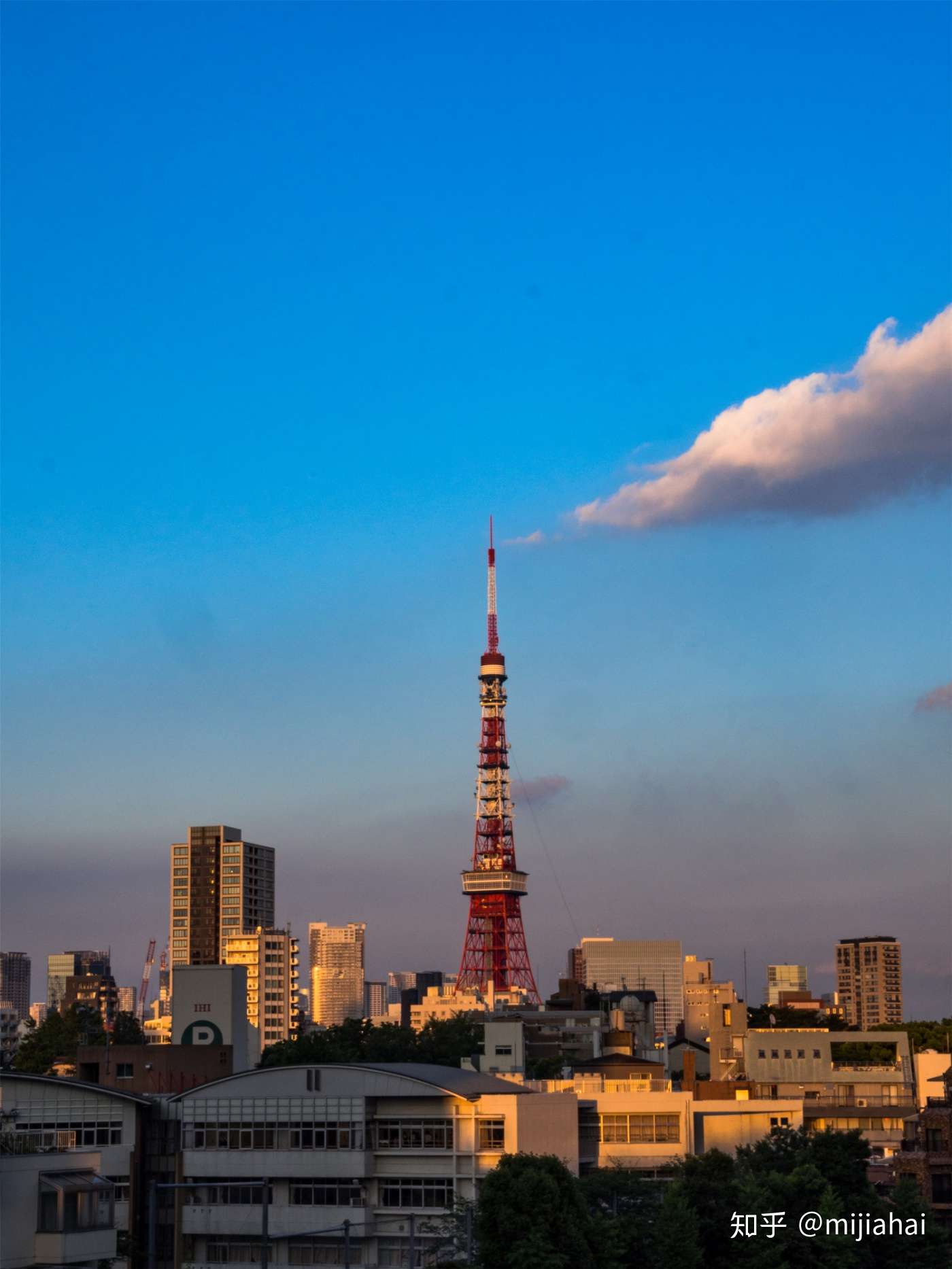 行摄东京 新宿 银座 原宿 台场 浅草 知乎