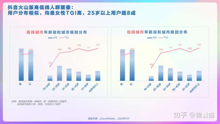 2020抖音用户画像分析