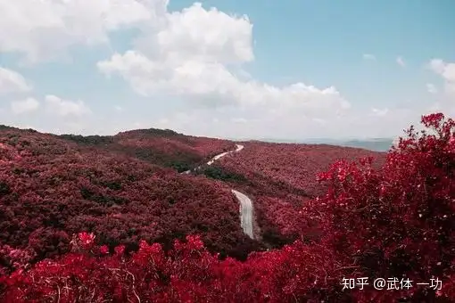 【一功分享】王维最美10首绝句，字字珠玑，首首如画(王维经典诗词)