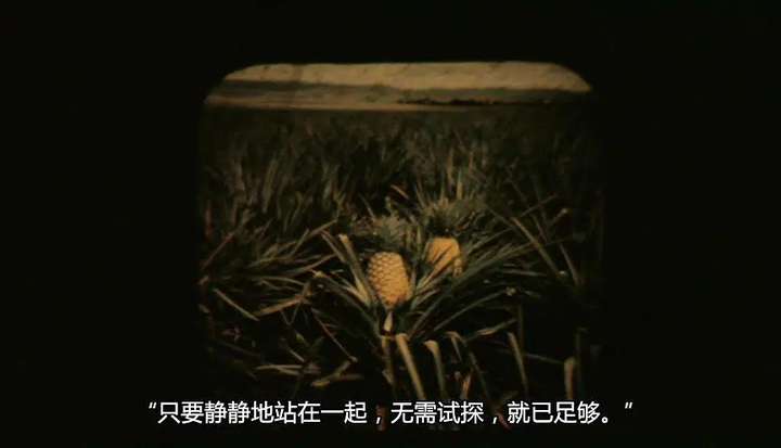耽美剧大盘点 耽美剧大盘点