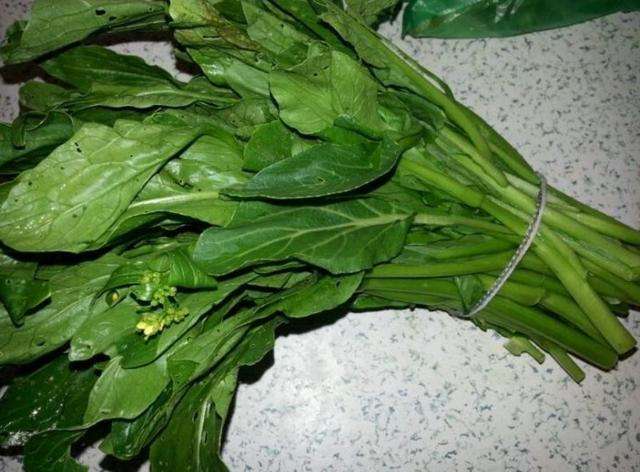 哪些蔬菜比牛奶还补钙(比牛奶更补钙的食物)插图 哪些蔬菜比牛奶还补钙(比牛奶更补钙的食物)插图