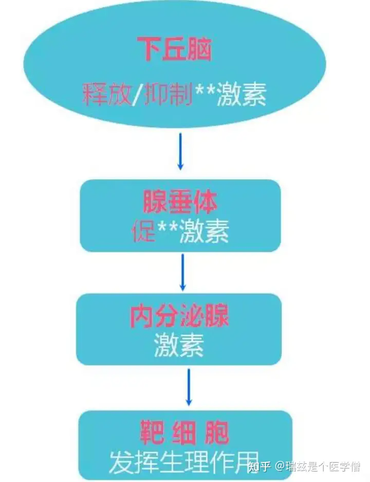 一日秒蓖：兜徐类色眉慈狠彭加母!(图4)