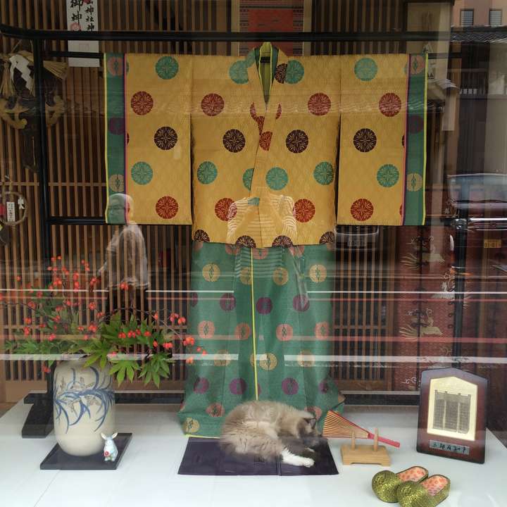 京都自由行 有哪些心得和建议 知乎