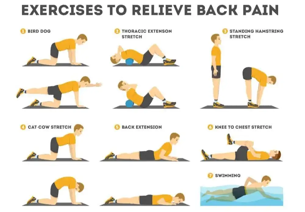 8 个动作帮你改善姿势+缓解腰痛- 知乎