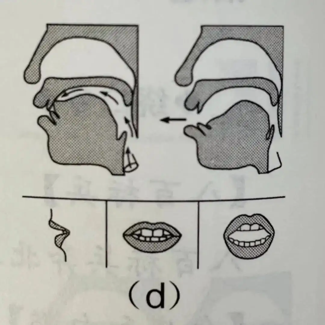 基础发音 D T N L发音及练习 知乎