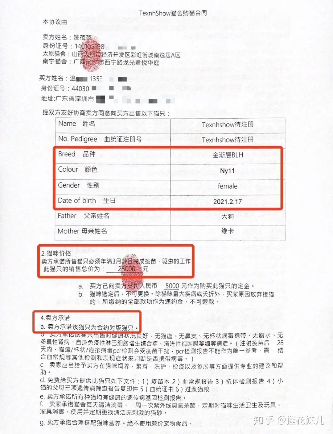 无良猫舍TexnhShow金渐层猫舍，避雷，黑心骗钱- 知乎