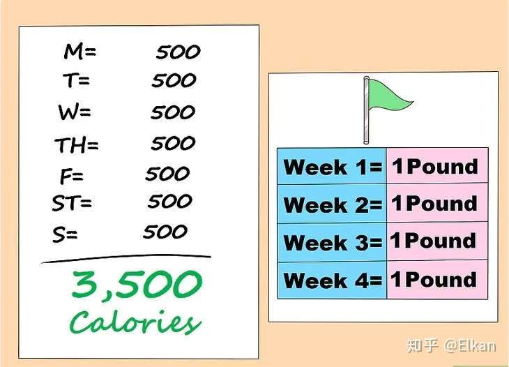 如何计算减肥时你需要摄入多少卡路里热量 知乎