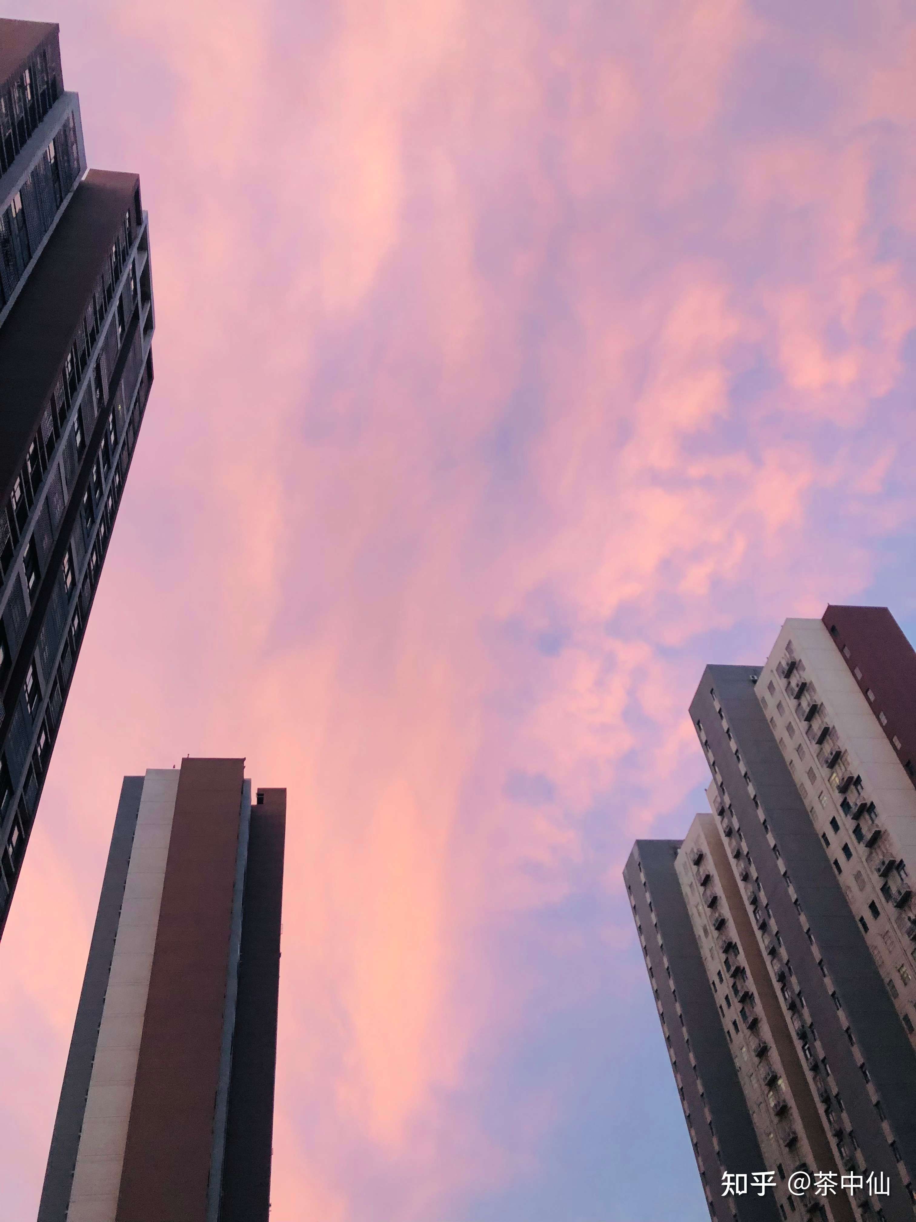 茶中仙 的想法: #拍下窗外的风景# 昨天傍晚的天空是粉红… - 知乎