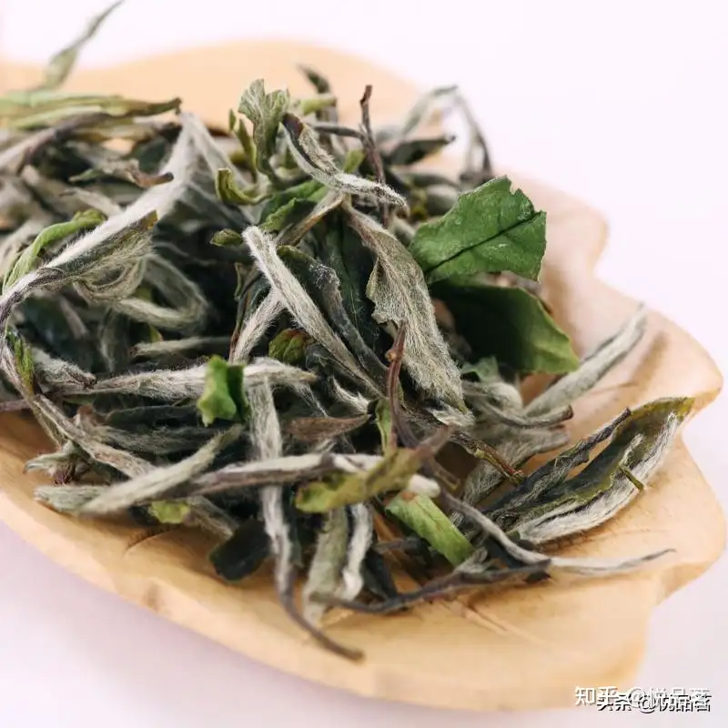 福鼎白茶白牡丹( 餠茶)-