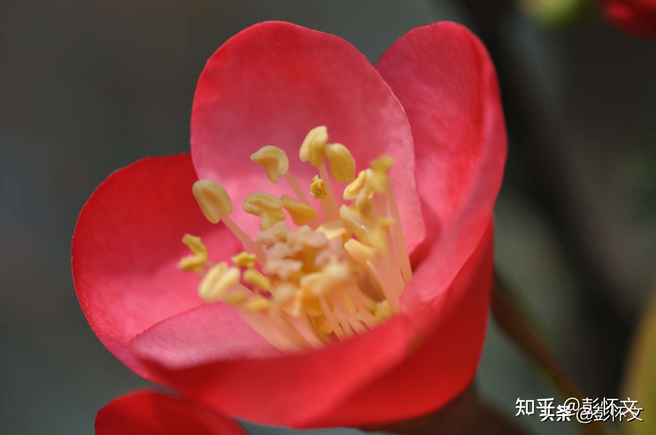 财税实务问题解答9则 21年1月29日 知乎 财税实务问题解答9则 21年1月29日 知乎