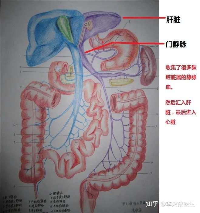 儿患肝癌 母欲捐肝救治 却发现非亲生 更悲剧的还在后头 知乎