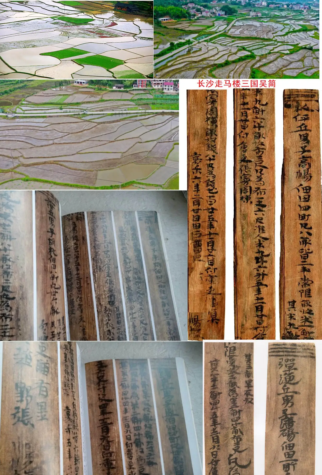 古文物作证 为什么中华文明是唯一真正古文明 12 知乎