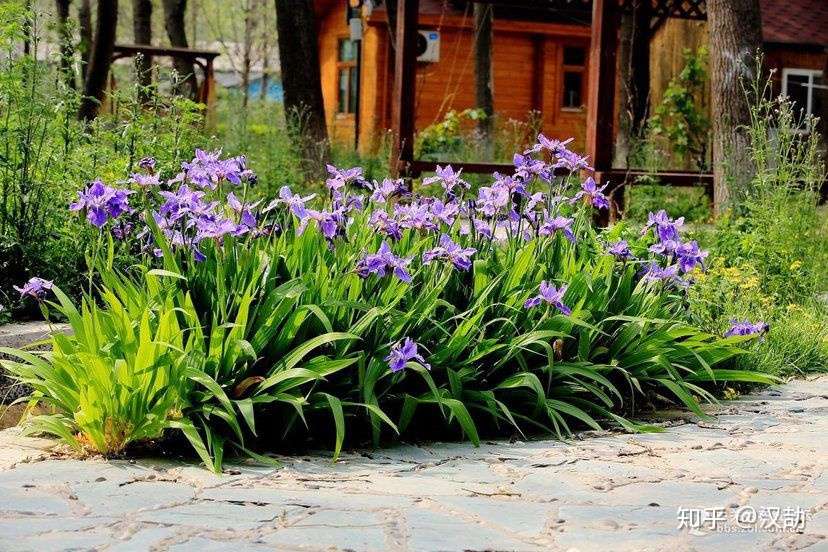 最终幻想15 里面的人名可不是随便起的 知乎