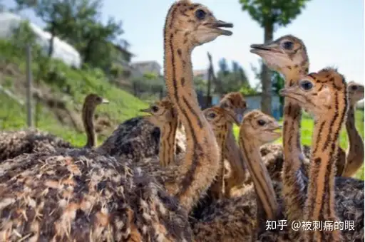 没人愿意干的68个暴利行业丨深度(没人愿意干的暴力行业)