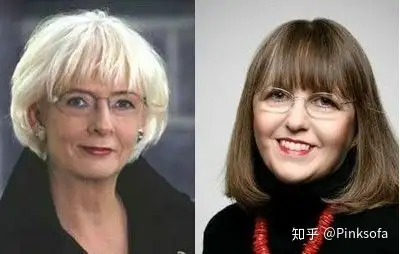 冰岛女总统（冰岛女总统和他的夫人电影）