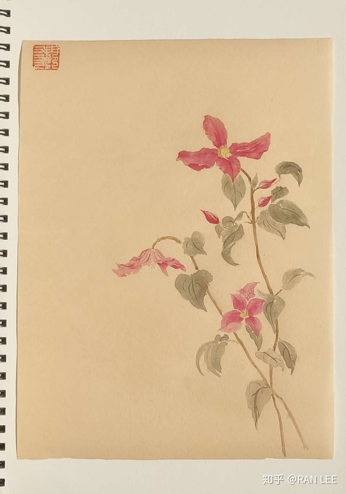 ran lee 的想法: 没骨铁线莲 - 知乎