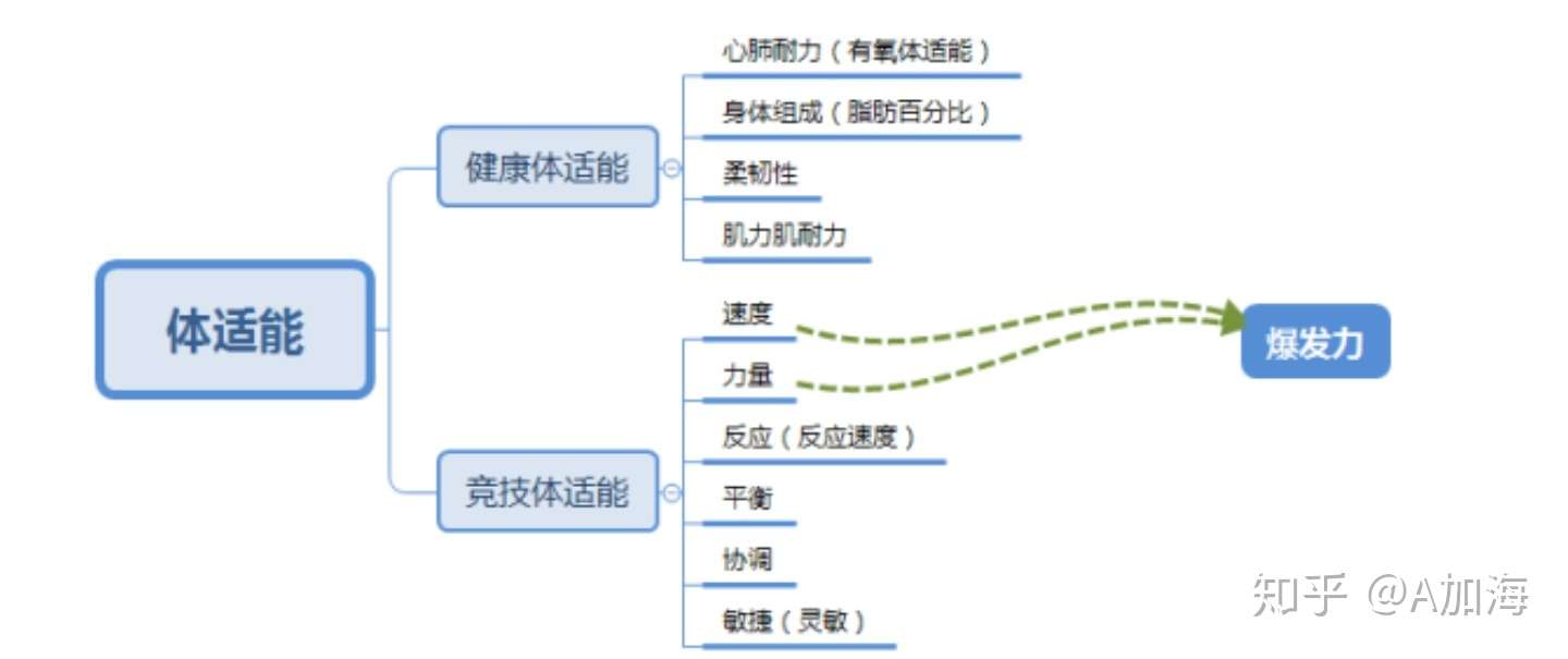 体适能六大基础概念 知乎