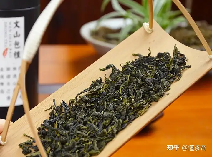 这都可以（台湾非遗制茶）台湾茶文化发展建议 第5张