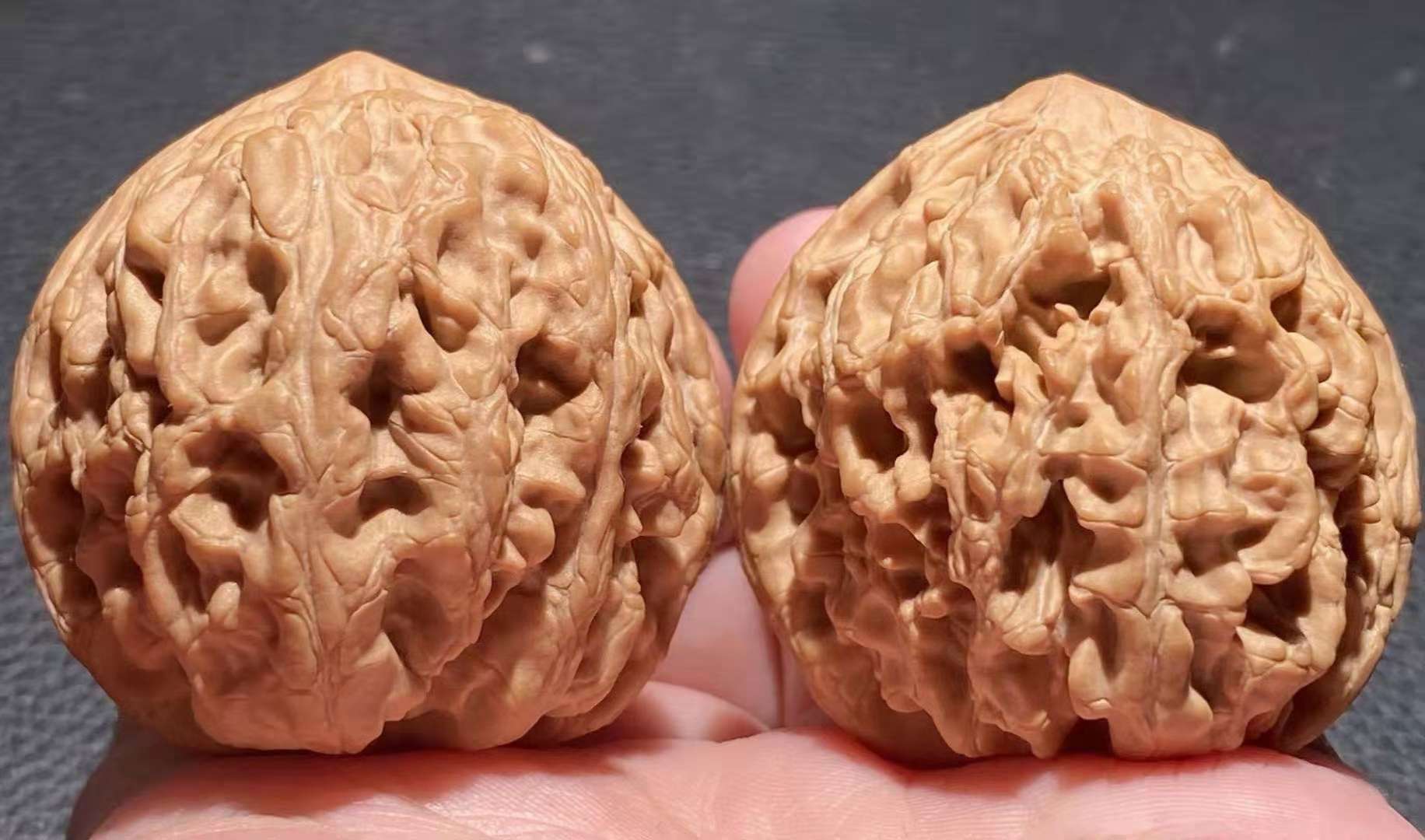 核桃姐姐 的想法: 野生粗筋大沽石狮子头 编号:s008 尺寸:肚… - 知乎