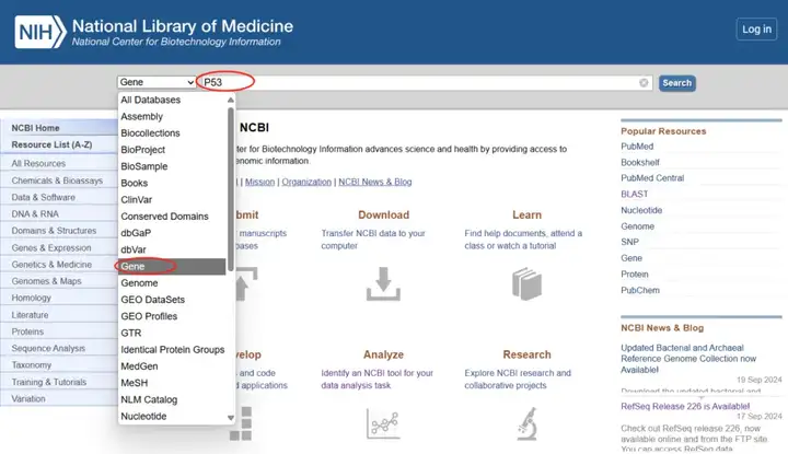 《NCBI保姆级使用教程（包含如何查找CDS、启动子、5'UTR和3'UTR、lncRNA序列）》