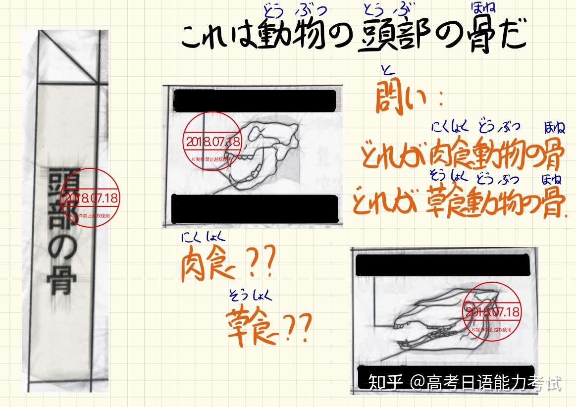 豆知識 動物 日语冷知识冷到北极圈 知乎