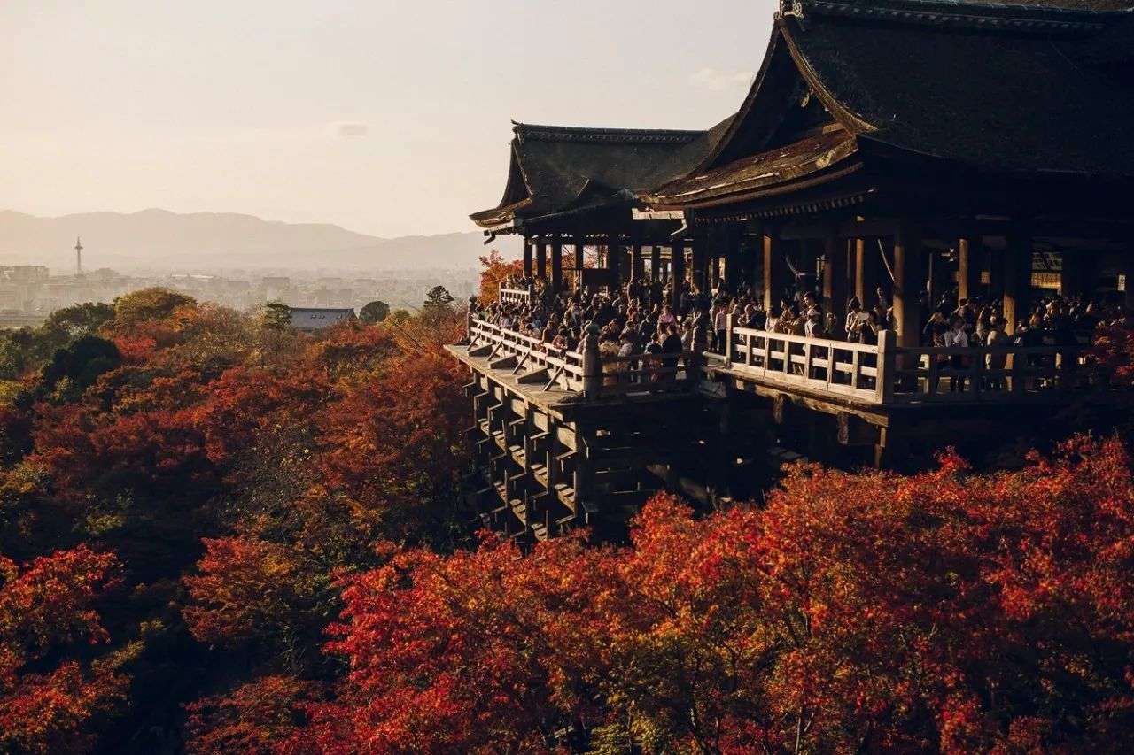 26京都 地标建筑 清水寺 一 知乎