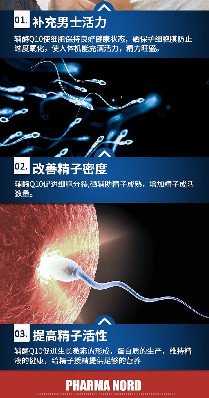 商品[国内直发] Pharma Nord|Pharma Nord法尔诺德 准爸爸营养软胶囊 60粒,价格¥317,第5张图片详细描述