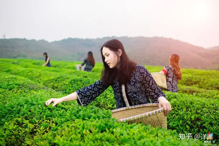 蓝印花布为何申请非遗（关于蓝印花布的介绍） 第4张