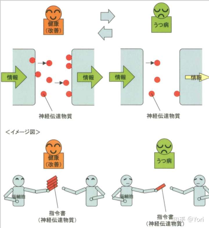 人们忽视了抑郁症的 病理性基础(神经递质失衡引发的丧失活力机制