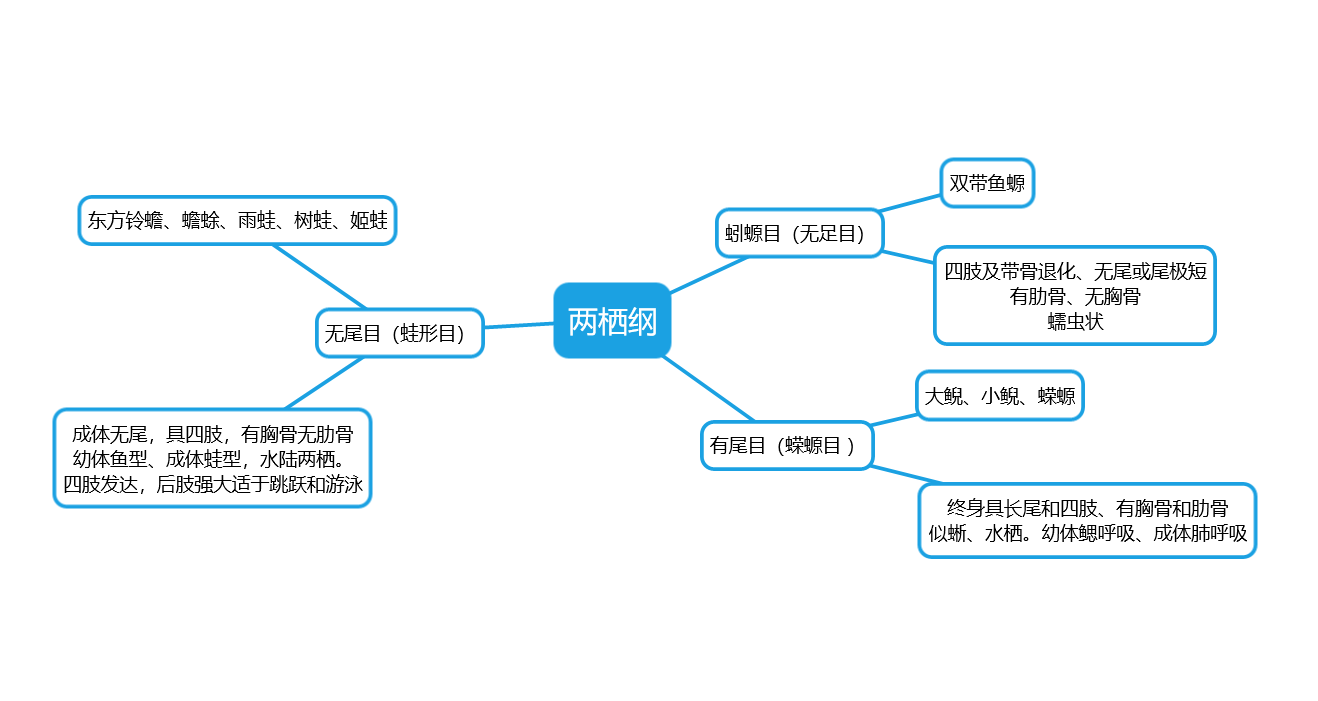 动物学期末总结 各大门类总结 知乎