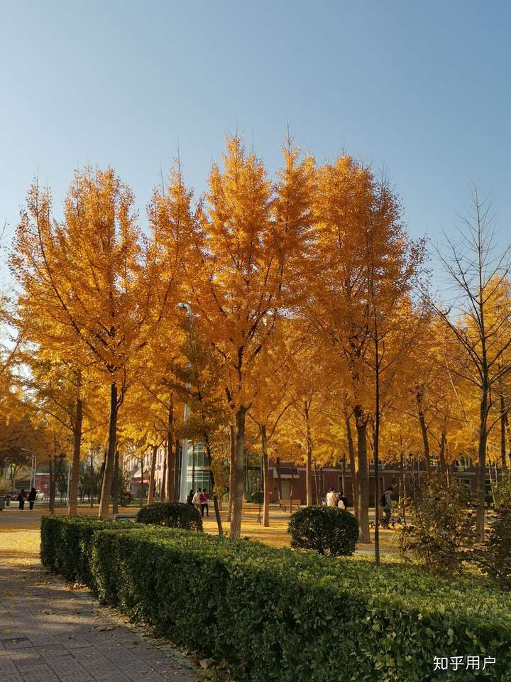 如何评价河北大学?