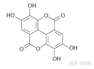 植物中的黃金成分——鞣花酸 - 知乎