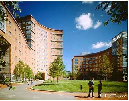 美国东北大学专业排名 知乎 美国东北大学专业排名 知乎