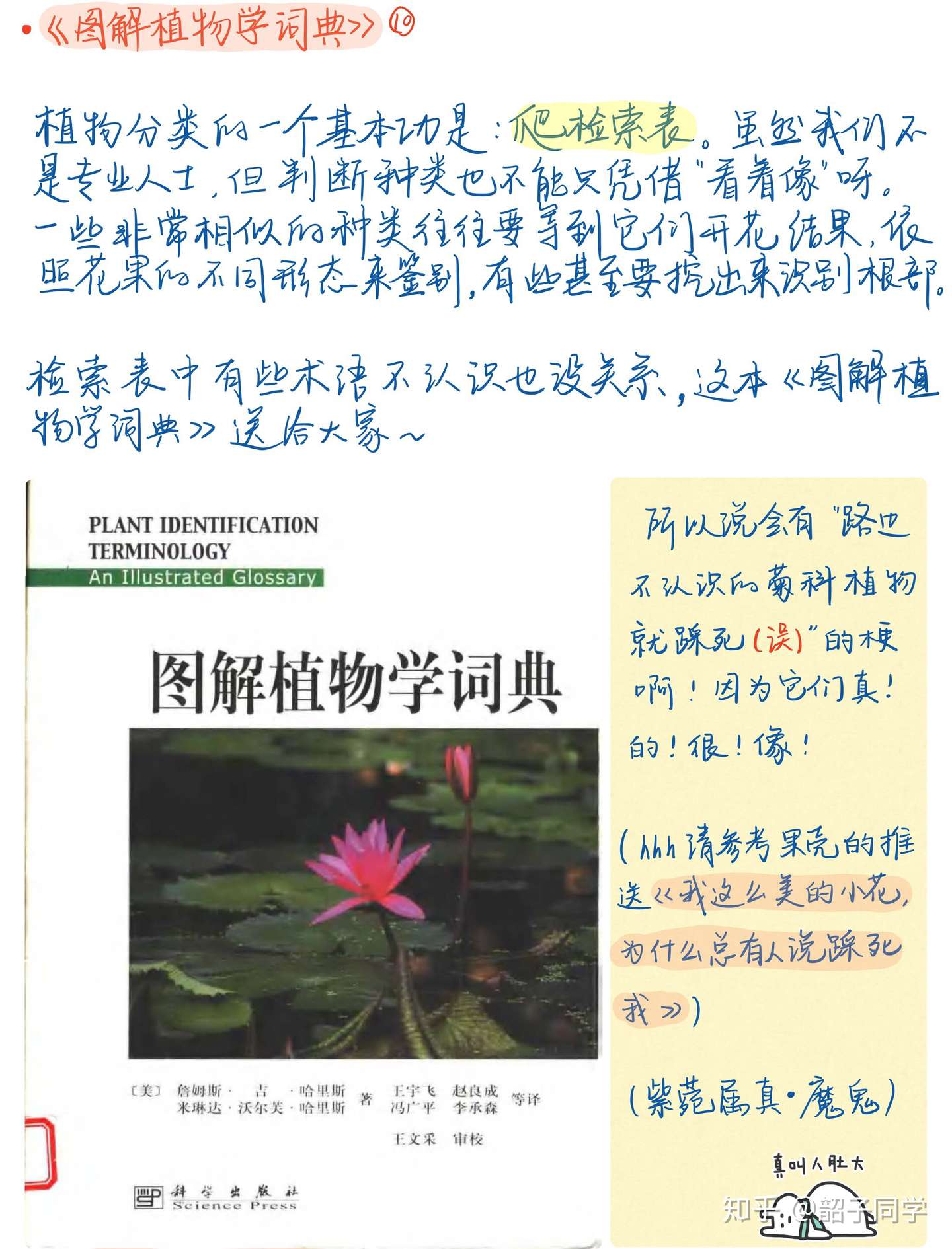 植物分类学入坑贴 知乎