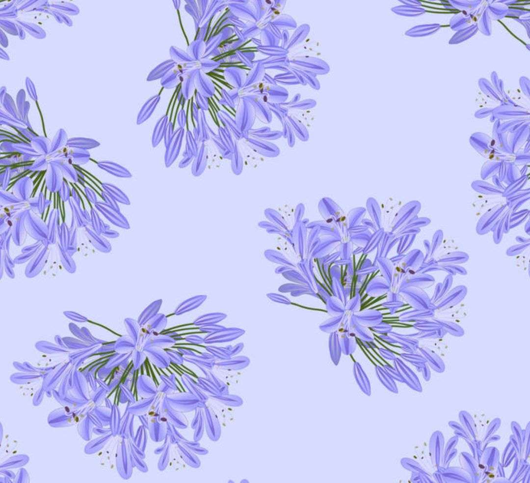 零基础学插花 百子莲的花语是恋爱的造访 祝大家遇见美丽的爱情 知乎