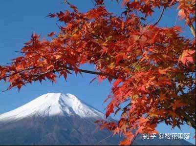 寻找秋天最美的轨迹 富士山红叶三部曲 知乎