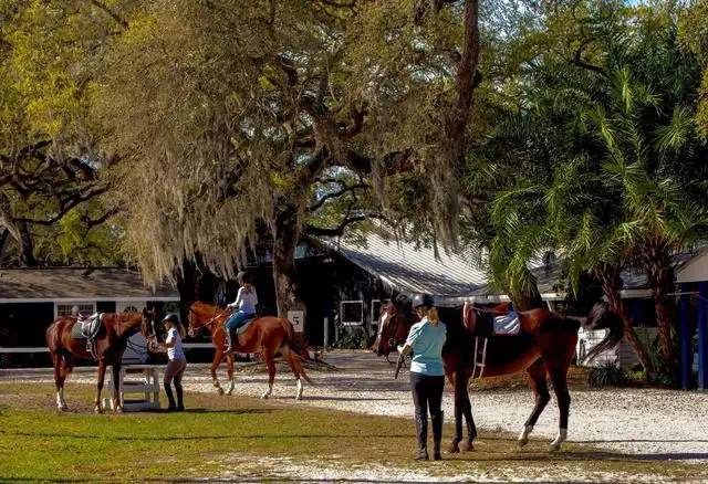 全国各景点都有哪些旅游骗局?当心被人骗了,还傻乎乎的帮人数钱