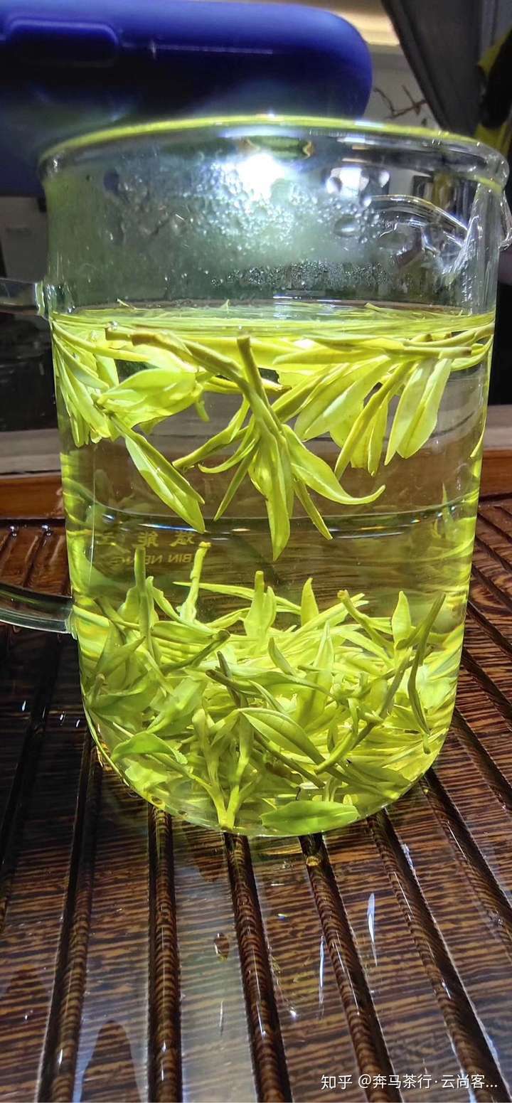 赏心悦目的安吉白茶——北方客人沉醉于绿茶皇后的汤色 - 知乎